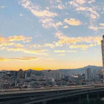 幻境森林官方版下载